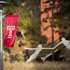 Temple Flags and figure sculpture on campus