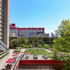Aerial view of Mazur Terrace picnic tables and lawn